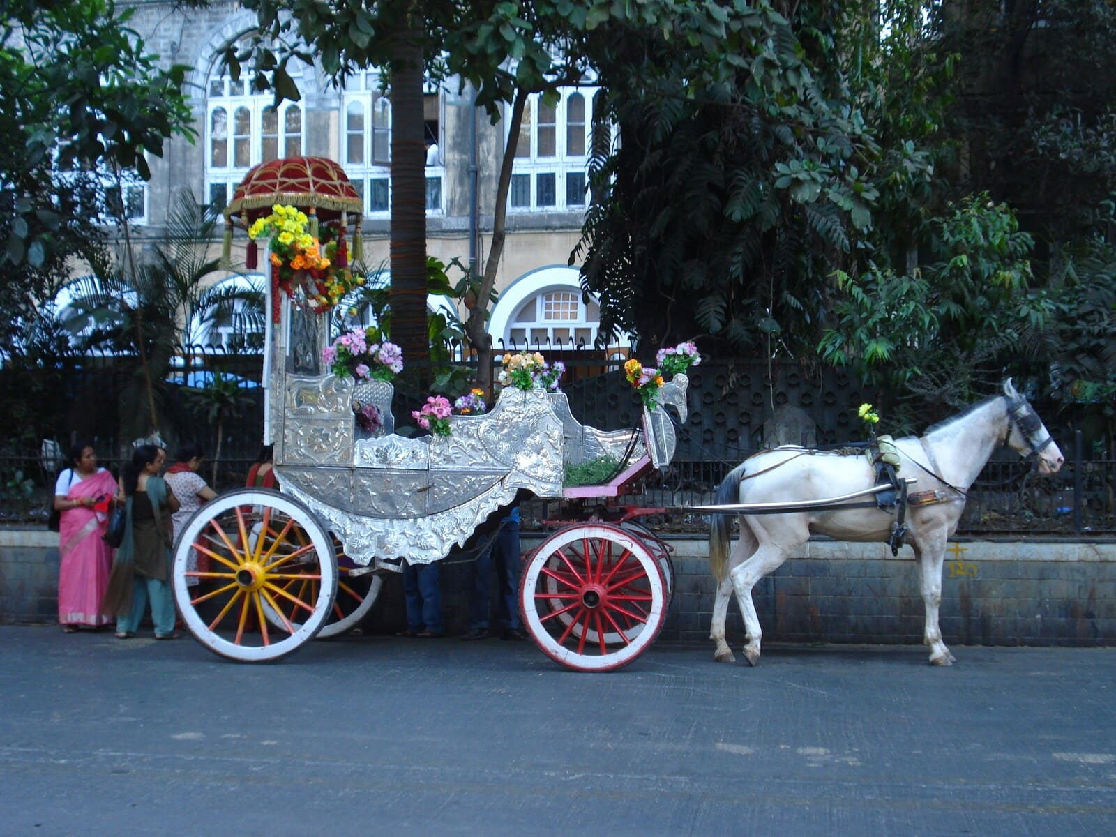 Wedding Bagghi performance