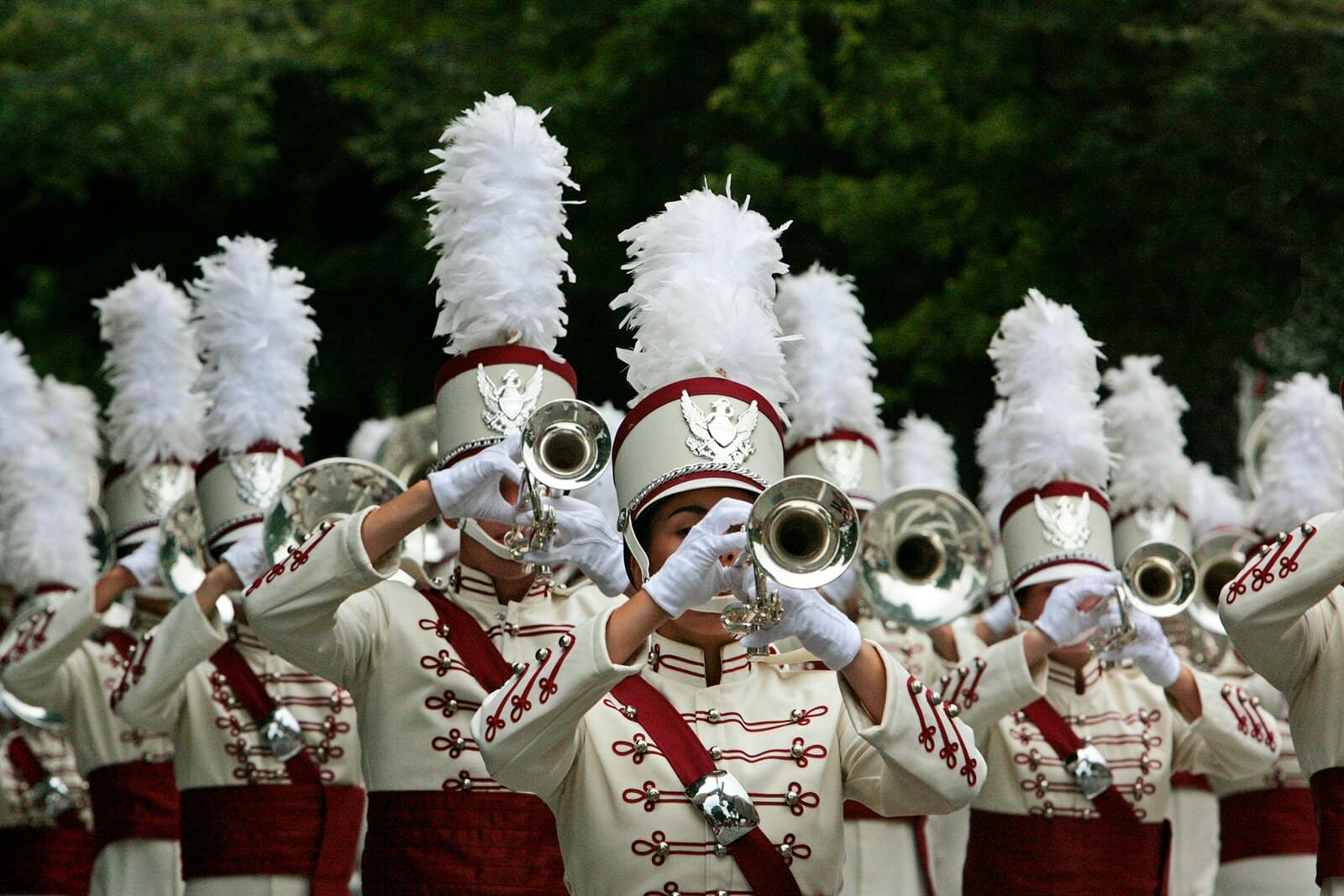 Brass Band Party performance